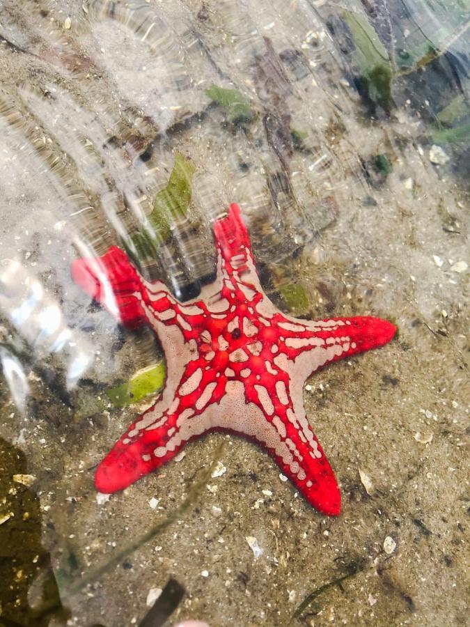 Manico Camp Otel Inhaca Dış mekan fotoğraf